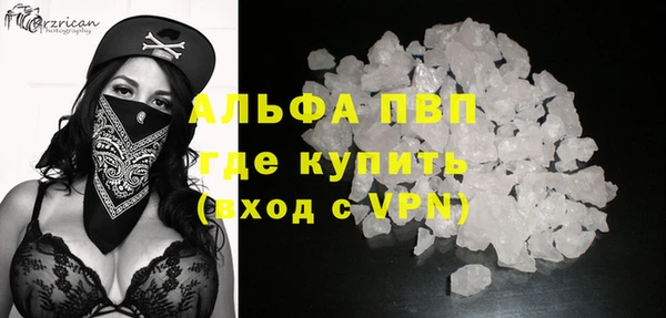стафф Кодинск