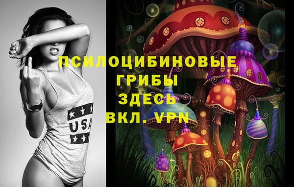 стафф Кодинск