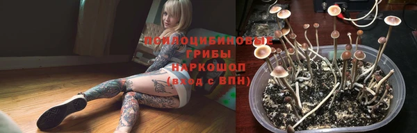ALPHA PVP Козельск
