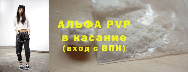 стафф Кодинск