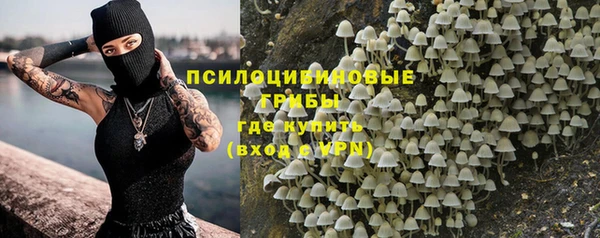 ALPHA PVP Козельск