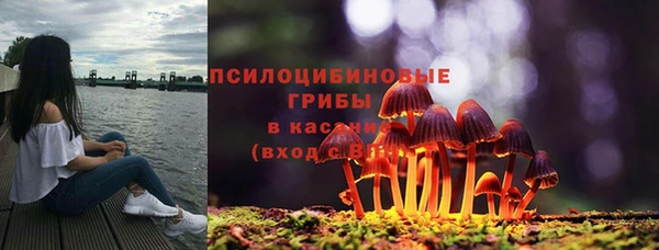 ALPHA PVP Козельск