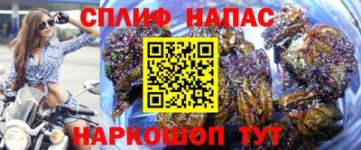 хмурый Заводоуковск