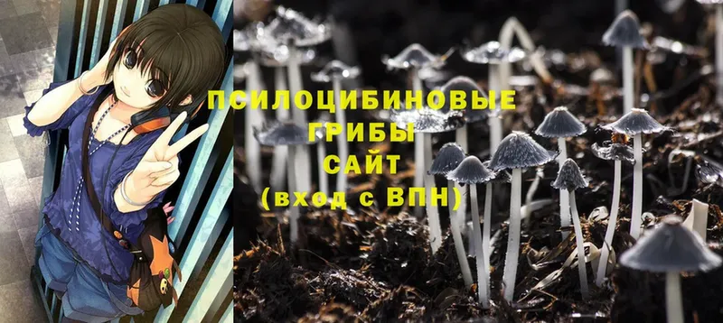 Псилоцибиновые грибы Magic Shrooms  Нефтекамск 